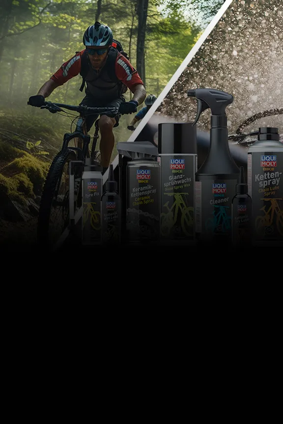 Mountainbiker auf einem Trail im Wald / Fahrradpflegeprodukte von Liqui Moly
